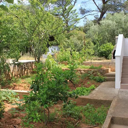 Artatore 8007a アパート *