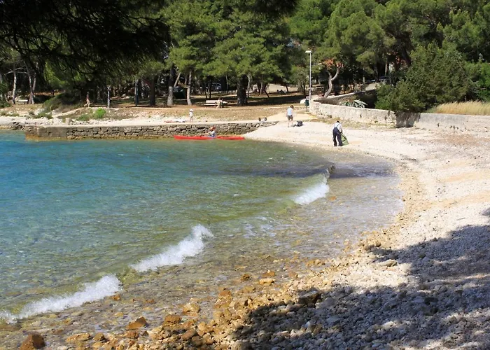 Artatore 8007a * Cunski