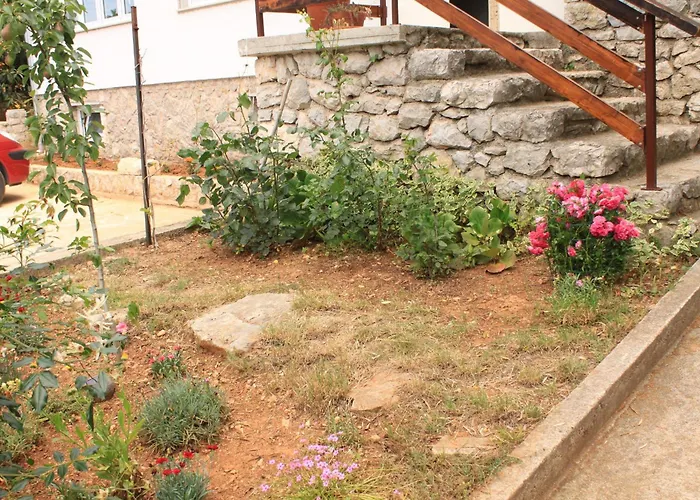 Artatore 8007a Cunski