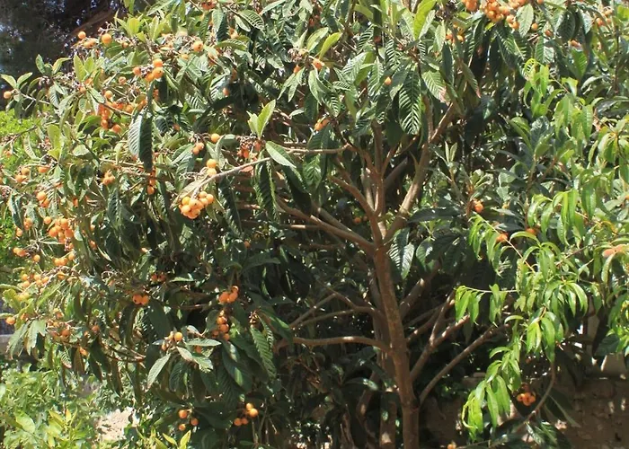 Artatore 8007a * Cunski