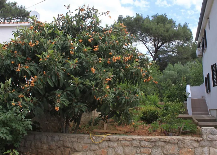 Artatore 8007a * Cunski