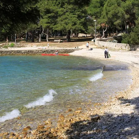 Artatore 8007a * Cunski