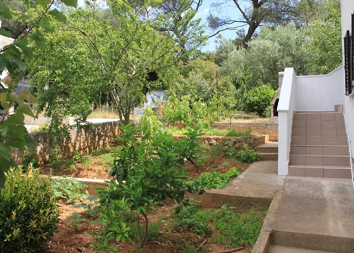 Artatore 8007a Διαμέρισμα *