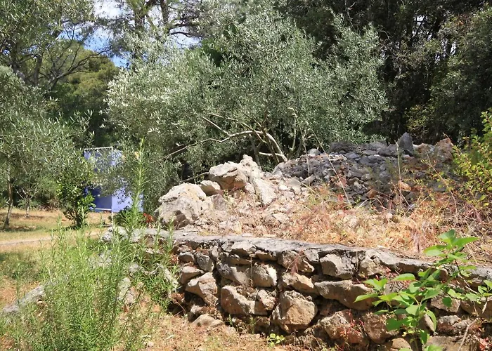 Artatore 8007a * Čunski