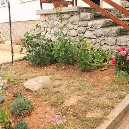 Artatore 8007a Čunski