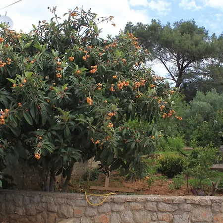 Artatore 8007a * Čunski